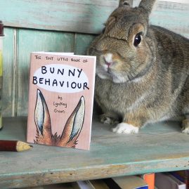 Bunny Zine