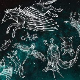 Midnight Menagerie