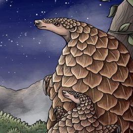 Giant Pangolins