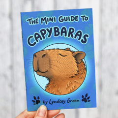 Mini Guide to Capybaras